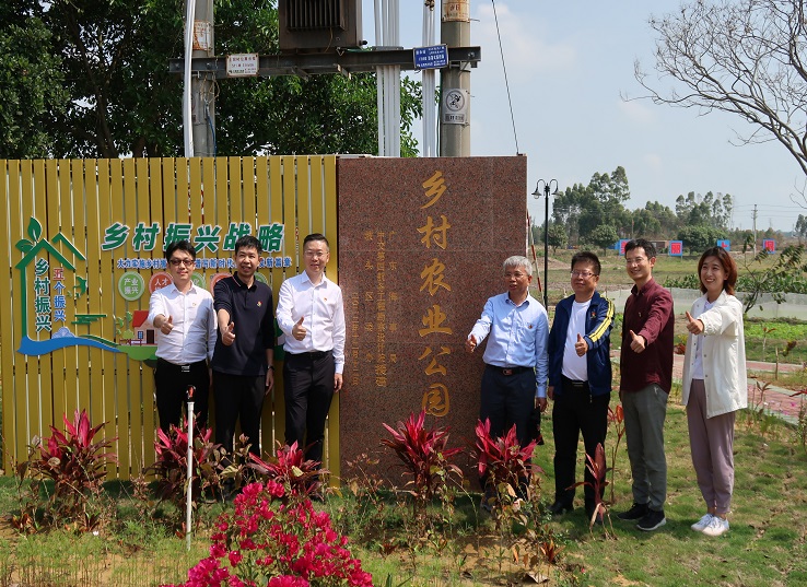 湛江南三鎮三年大變樣