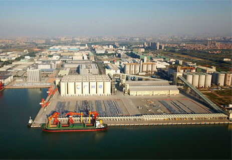 新沙項目竣工！打造珠江兩岸糧食運輸新格局！ 